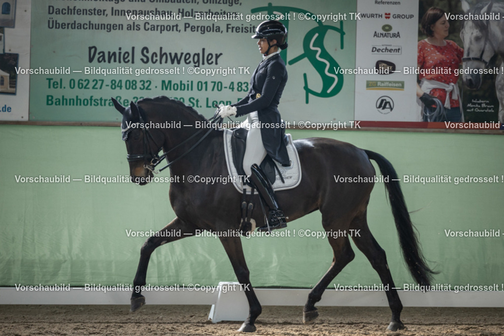 _D5A4755 | Emotionale Pferde- & People-Fotografie rund um Heidelberg, Leimen & Umgebung. Natürliche Fotos von Pferd, Mensch & Familie. Jetzt Termin sichern!