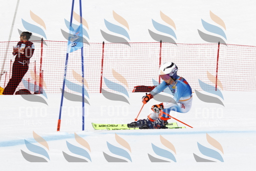 _U3G6130 | holidayphoto