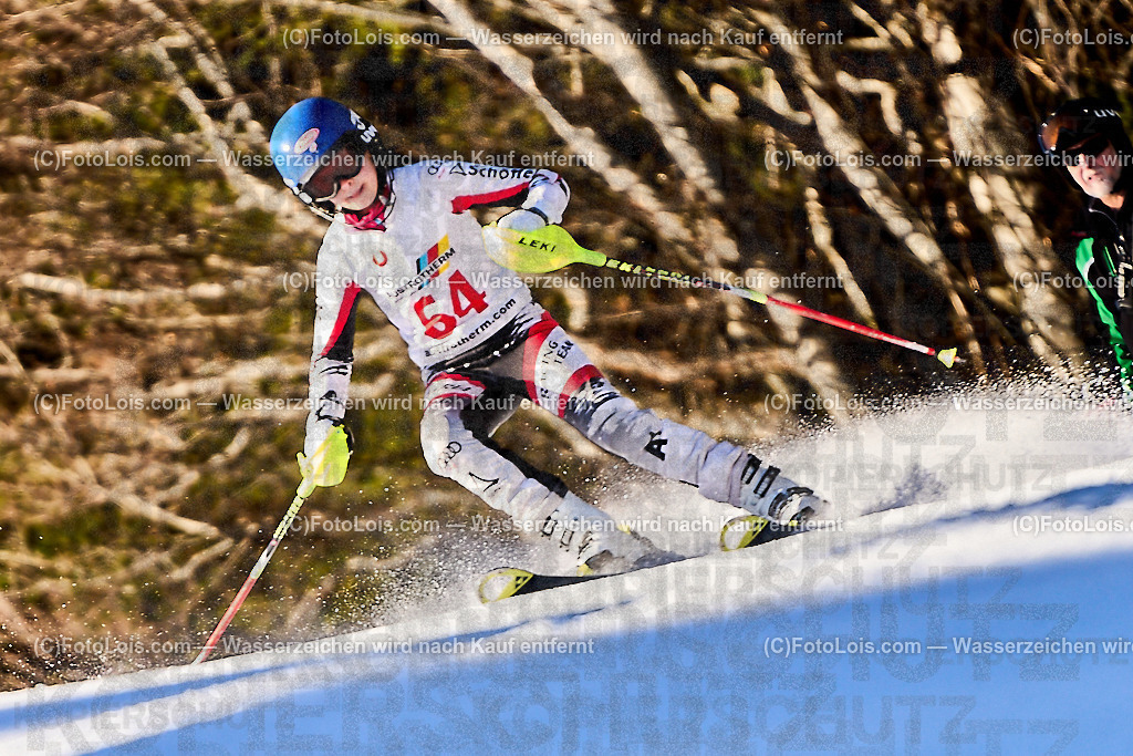 ALP8938_NOe-Kindervergleich-RTL_Tauchner Anna | (C)FotoLois.com, Alois Spandl. Sportunion Trattenbach, NÖ Kindervergleichs-Skirennen, RTL auf dem Feistritzsattel, So 28. Januar 2024.