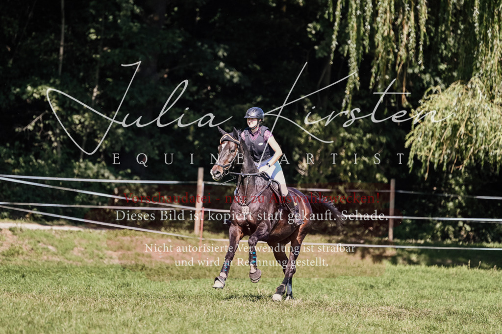 DSC_2907 | Pferde- und Turnierfotografie in Westsachsen. Pferdeportraits, Auftragszeichnungen und intuitive Kunst.