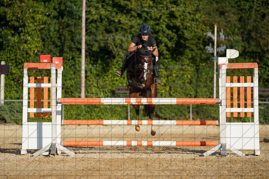 20240824-FAH08815 | Thierhaupten 2024, Bayerisches Landesponyturnier, Turnierbilder, Ponybilder, Turnierfotografen Bayern, Fotoagentur Herrmann