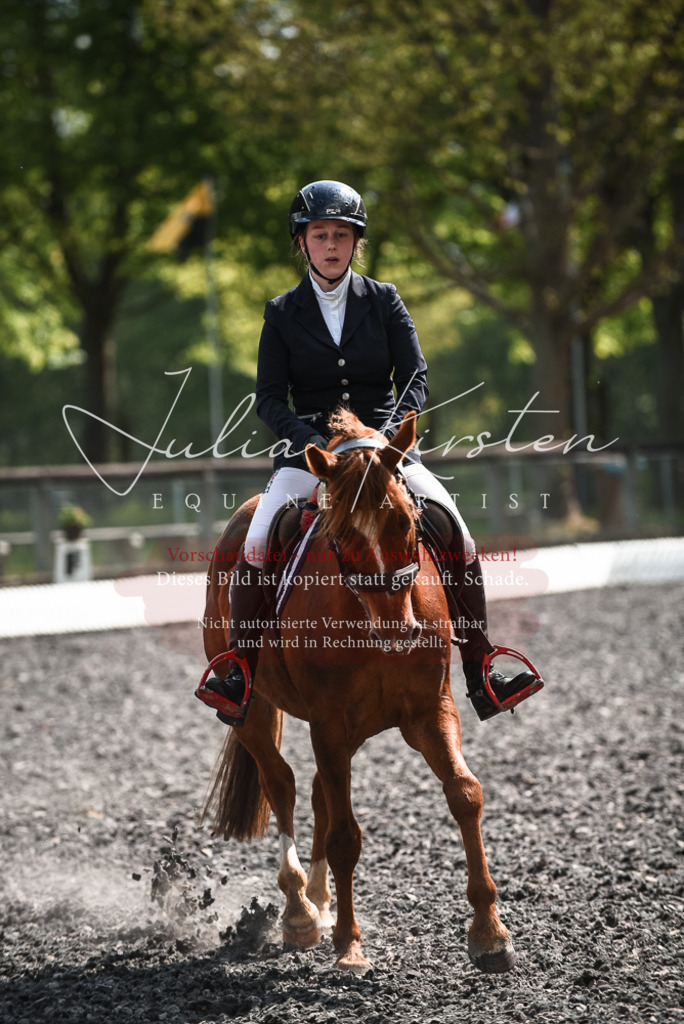 DSC_9046 | Pferde- und Turnierfotografie in Westsachsen. Pferdeportraits, Auftragszeichnungen und intuitive Kunst.