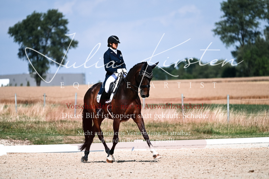 DSC_2890 | Pferde- und Turnierfotografie in Westsachsen. Pferdeportraits, Auftragszeichnungen und intuitive Kunst.