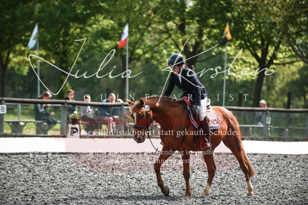DSC_9062 | Pferde- und Turnierfotografie in Westsachsen. Pferdeportraits, Auftragszeichnungen und intuitive Kunst.