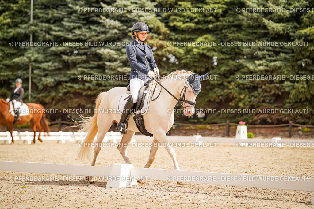 DSC01892 | Pferdegrafie