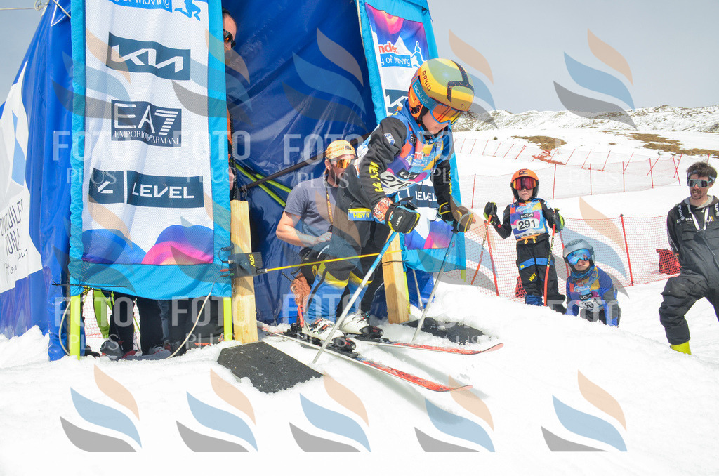 _ELE7876 | holidayphoto