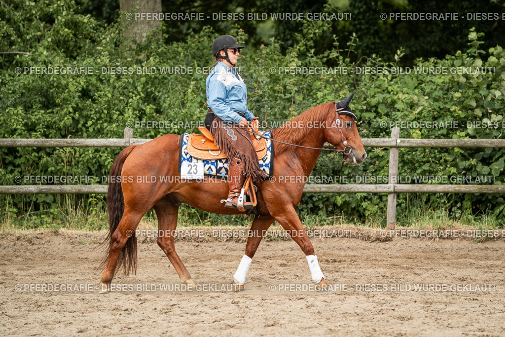 DSC03378 | Pferdegrafie