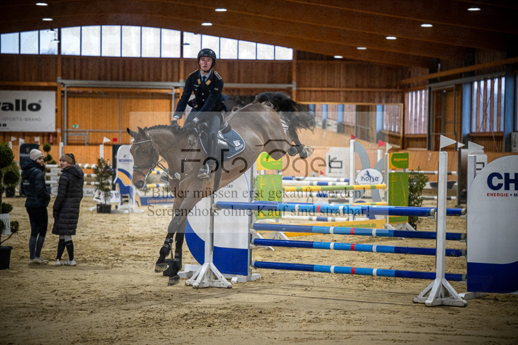 DOS_0339 | Entdecke hochwertige Reitturnierfotos von Foto Oger. Professionell, emotional und authentisch – jetzt Lieblingsmomente im Shop bestellen.Deutschlandweite Turnierfotografie. - Realisiert mit Pictrs.com