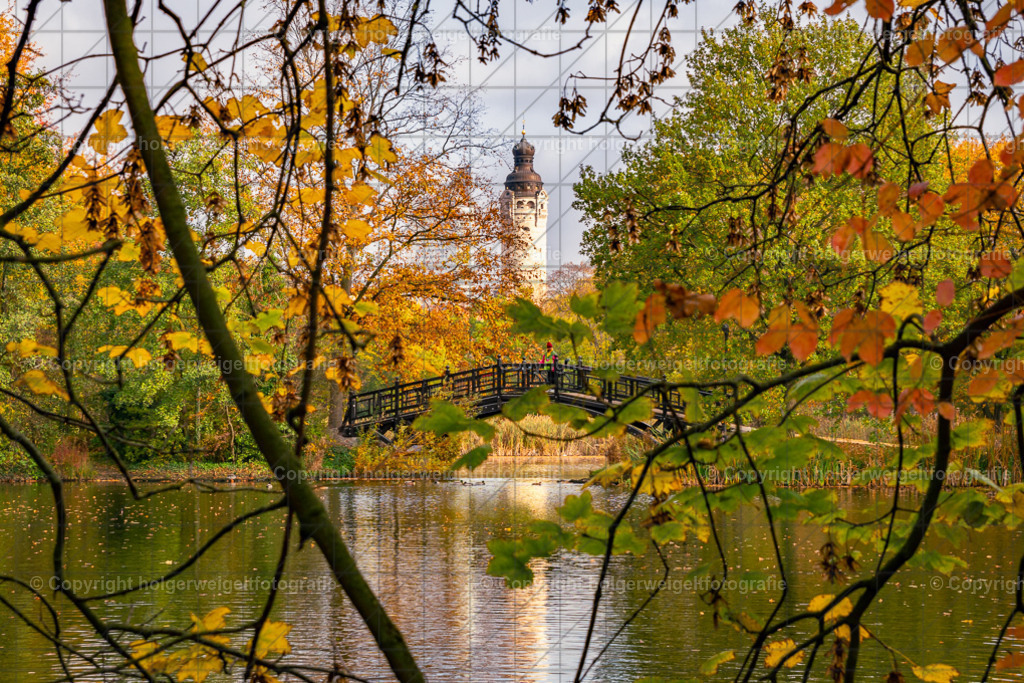 20241101140807D75_7790 | Kaufen sie online außergewöhnliche Fotografien auf Leinwand Acrylglas Fotoprint Aludibond von holgerweigeltfotografie - Realisiert mit Pictrs.com