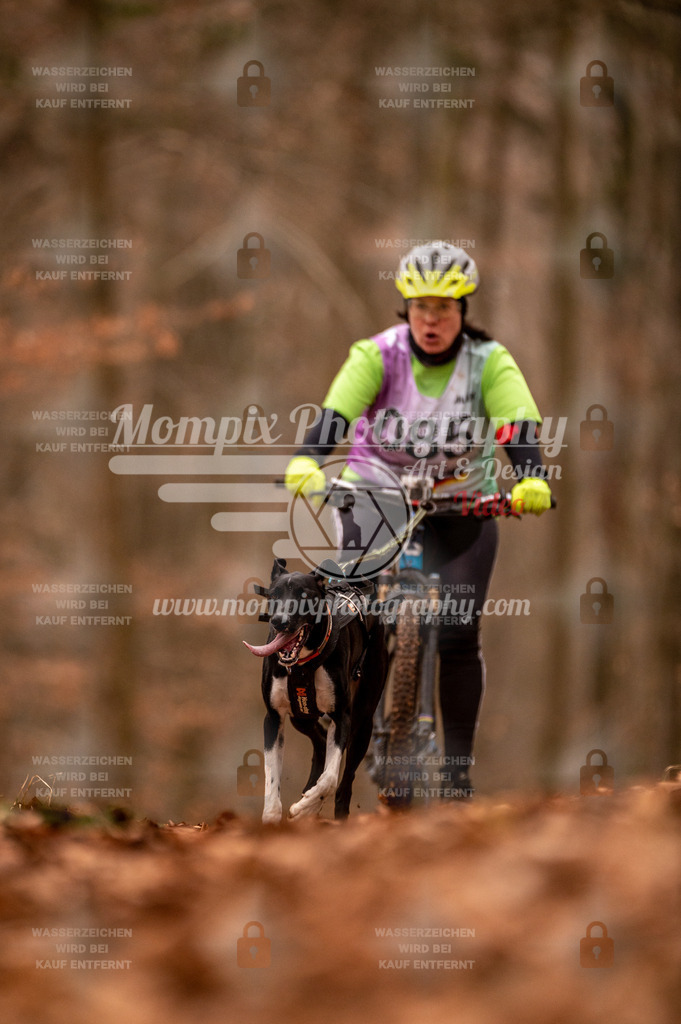AKM_ST_2023_Son_Bike-109 | PayLife