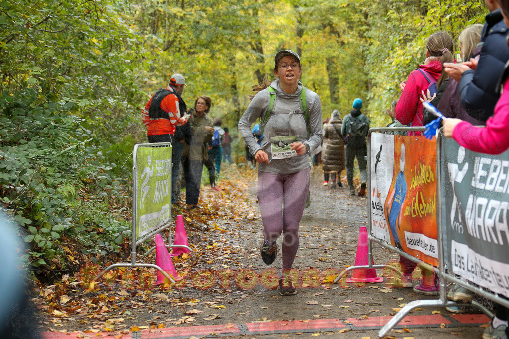 251026_1312_EX1_2875 | Sportfotografie im Rhein-Sieg Kreis, Köln, Bonn, NRW, Rheinland Pfalz, Hessen, etc. Unser Tätigkeitsfeld umfasst den Laufsport vom Volkslauf über den Marathon, Duathlon, Triathon bis zum Ultralauf wie Kölnpfad Ultra oder Schindertrail.