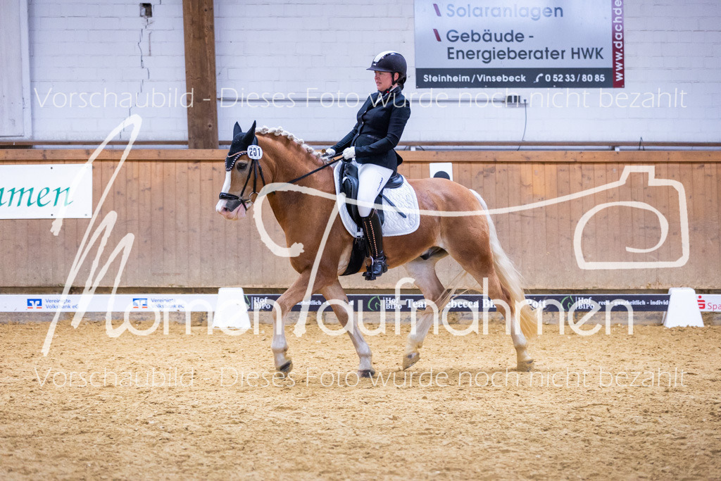 Sth-A-Dre-2St-041 | MomenTaufnahmen Pferdesportfotos