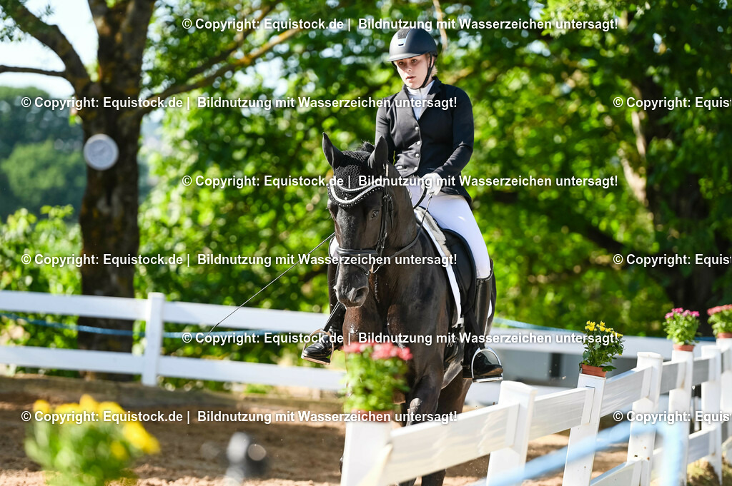 20230715_06_Dressurpferdeprfg. Kl.A_0097 | equistock