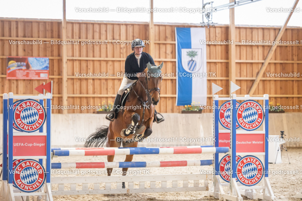 _D5A8132 | Emotionale Pferde- & People-Fotografie rund um Heidelberg, Leimen & Umgebung. Natürliche Fotos von Pferd, Mensch & Familie. Jetzt Termin sichern!