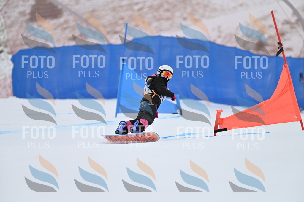 BGV_3484 | holidayphoto