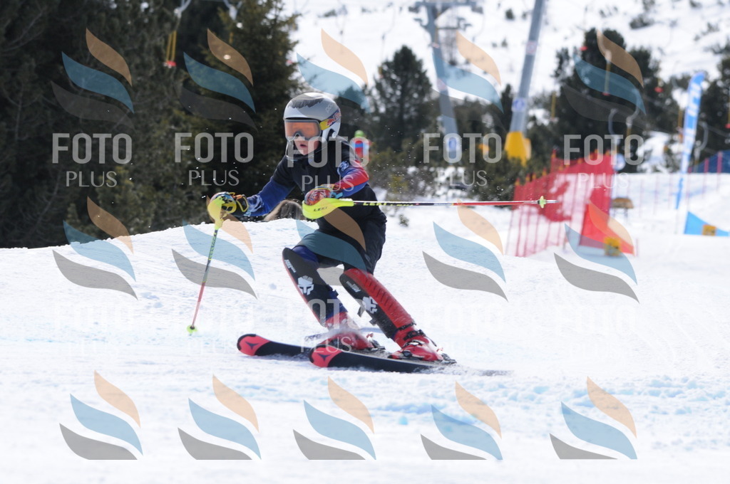 C9940 | holidayphoto