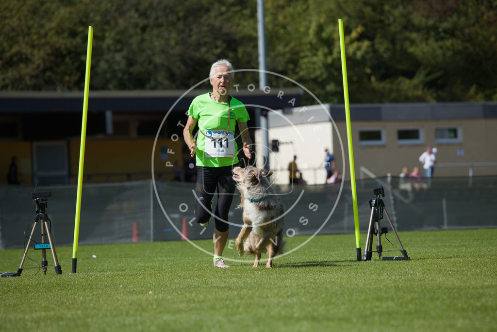 0L8A2708 | Hundefotografie, Tierfotograf, Pfotenfotografie, Fotoshooting Hund, Hunde Portrait, Hundesport, Hundeportraits, Heideshooting, Hunde, Sportfotograf, Hundefotograf, Turnierhundsport, THS,  - Realisiert mit Pictrs.com