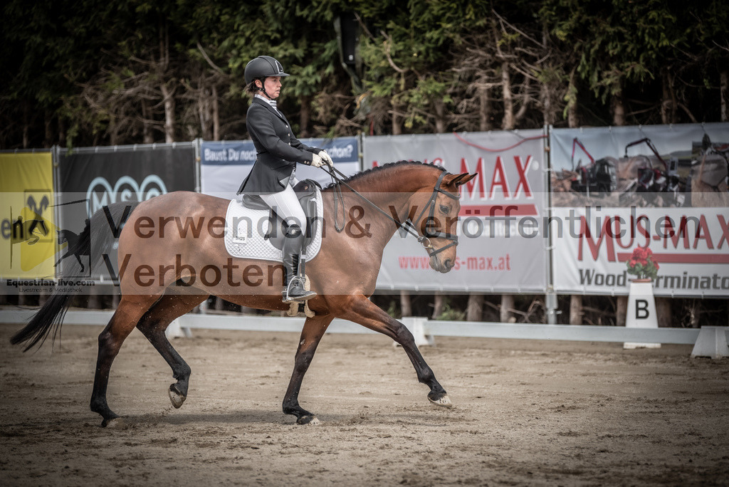 DSC_2409 | equestrian-live-com