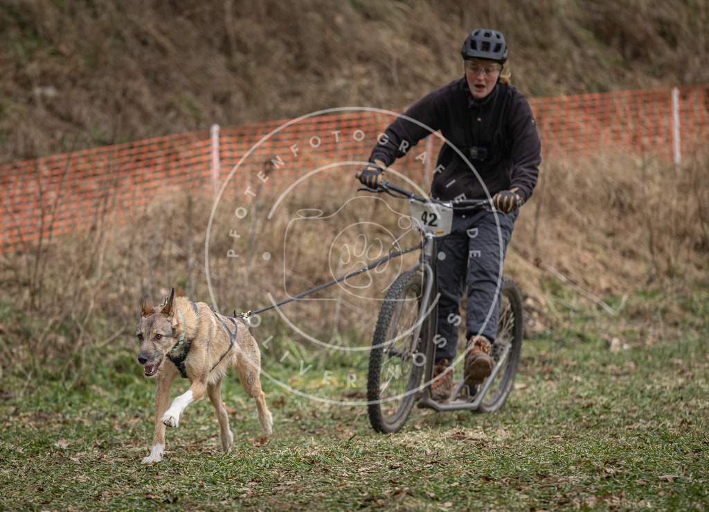 Pfotenfotografie_DV3A0500 | Hundefotografie, Tierfotograf, Pfotenfotografie, Fotoshooting Hund, Hunde Portrait, Hundesport, Hundeportraits, Heideshooting, Hunde, Sportfotograf, Hundefotograf, Turnierhundsport, THS,  - Realisiert mit Pictrs.com