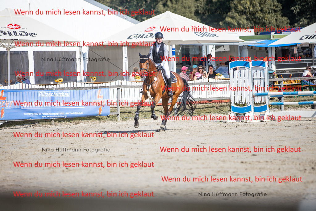 BK1A7125 | Turnierbilder Turnierfotos Nina Hüffmann Turnierfotografie Pferdefotografie Tierzeichnung Haustierzeichnung Pferdezeichnung Hundezeichnung Videograf  - Realisiert mit Pictrs.com