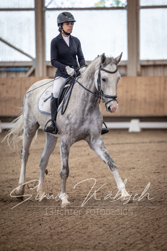 20251011-_3LI9229 | Tierfotografie Pferde, Hunde, Katzen, Haustiere.
Turnierfotografie Reitturniere, Reiten, Springreiten, Dressur in Hanau, dem Main-Kinzig-Kreis und dem Rhein-Main- Gebiet um Frankfurt