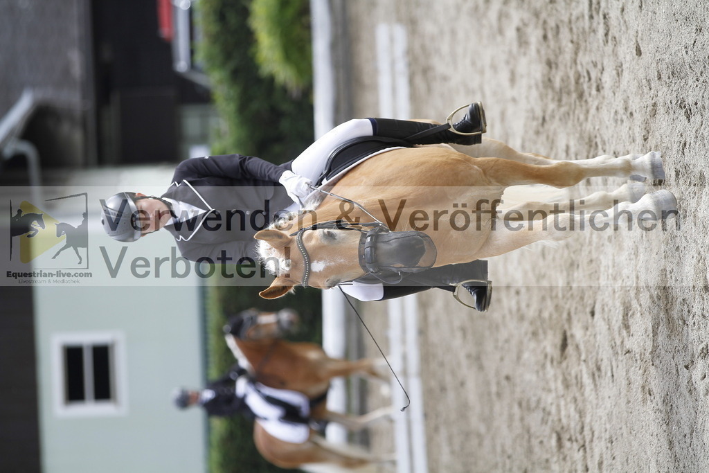 _MG_1026 | equestrian-live-com