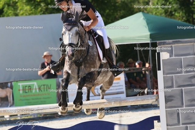 OHT 2022 Röhlingen (82) | Fotografie, Tiere, Hunde, Katzen, Pferde, Sportfotografie, Fotosession, Tierfotografie, Turnierfotografie, Fotografin, Fotograf - Realisiert mit Pictrs.com