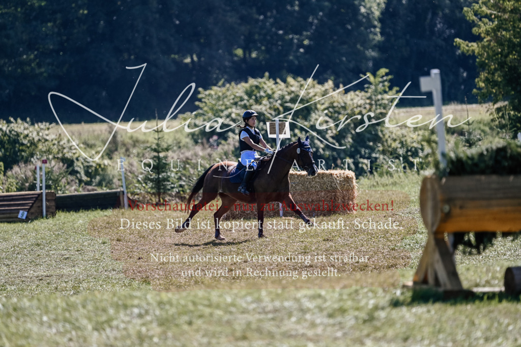 DSC_2647 | Pferde- und Turnierfotografie in Westsachsen. Pferdeportraits, Auftragszeichnungen und intuitive Kunst.