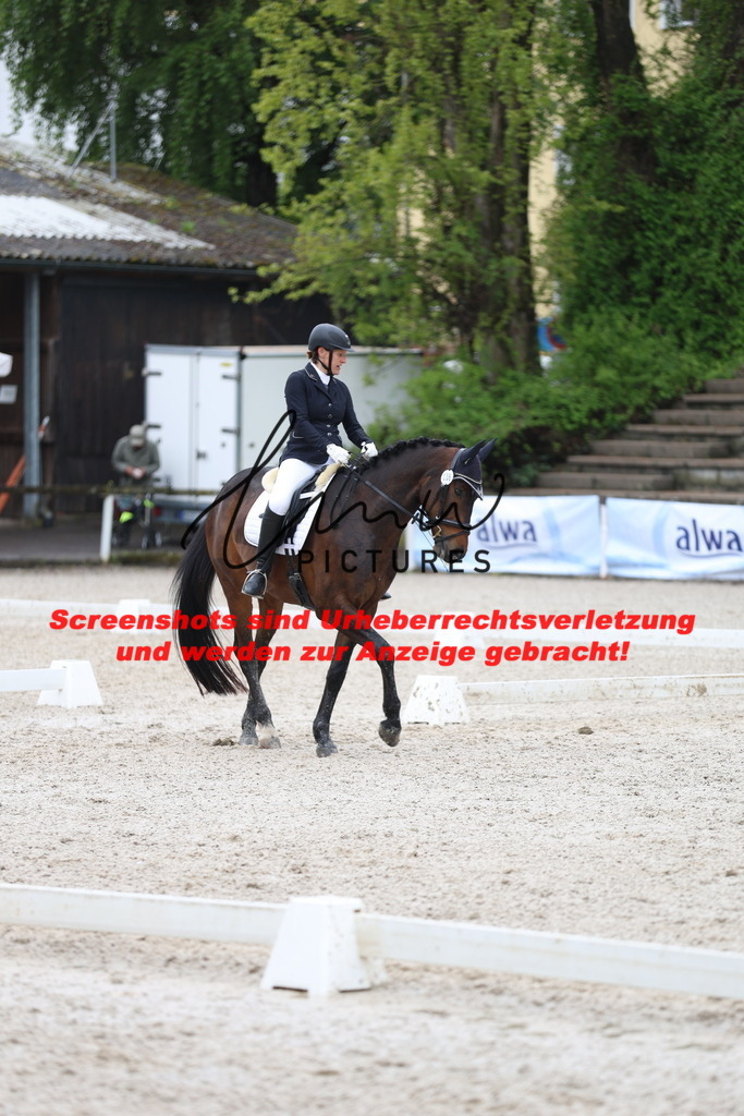 A40A9267 | lmwpictures - Realisiert mit Pictrs.com