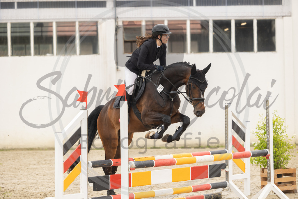 994A9236 | sabrinanicolaifotografie - Realisiert mit Pictrs.com