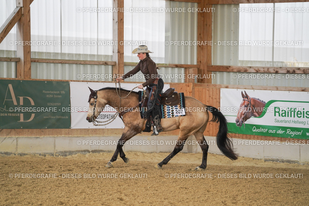 DSC00187 | Pferdegrafie