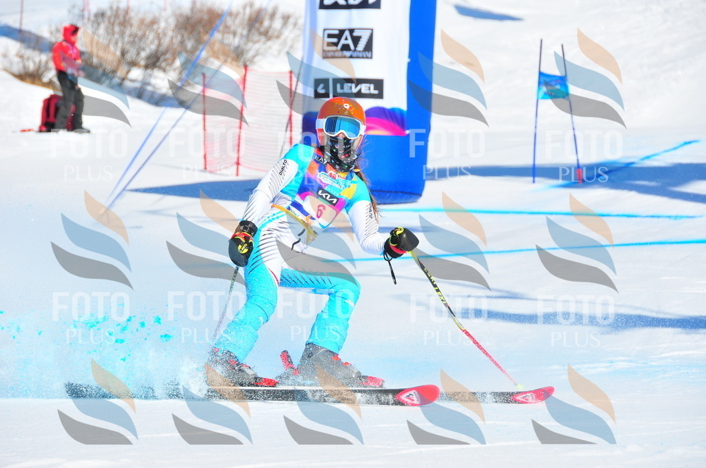 DSC_3707 | holidayphoto