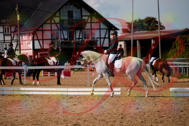 2026_10_03_Siefer-Hof_122703_Z63_47947050 | Professionelle Reitsport-, Turnier- und Eventfotografie von Robert Broda. Galerien mit ausgewählten und bearbeiteten Bildern direkt online ansehen und bestellen.