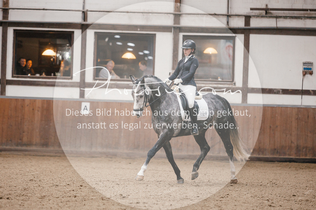 3I6A6063 | Stimmungsvolle Portraits und Reitsportfotografie im Ruhrgebiet und im Münsterland.

Pferdefotografie, Hundefotografie, Tierfotografie, Reportagen, Portraits von Tier und Mensch, Turnierfotografie in Bochum, Recklinghausen, Marl, Haltern am See, Dülmen.. - Realisiert mit Pictrs.com