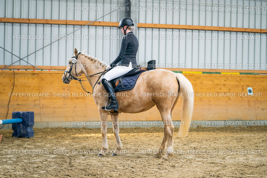 DSC00874 | Pferdegrafie