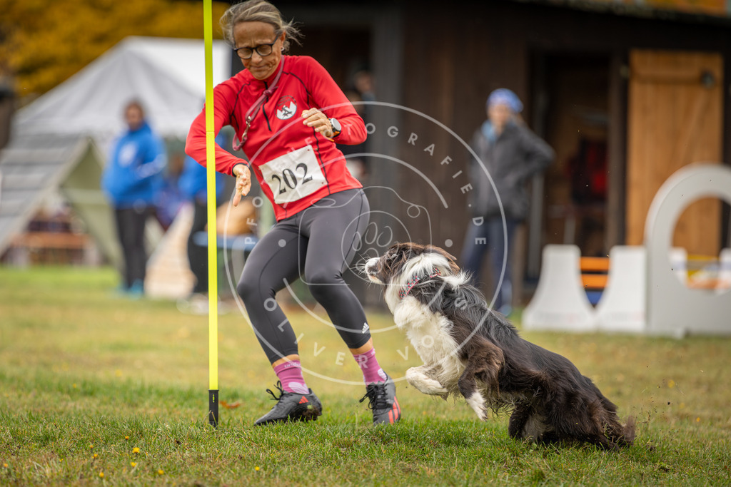 Pfotenfotografie_DV3A1632 | Hundefotografie, Tierfotograf, Pfotenfotografie, Fotoshooting Hund, Hunde Portrait, Hundesport, Hundeportraits, Heideshooting, Hunde, Sportfotograf, Hundefotograf, Turnierhundsport, THS,  - Realisiert mit Pictrs.com