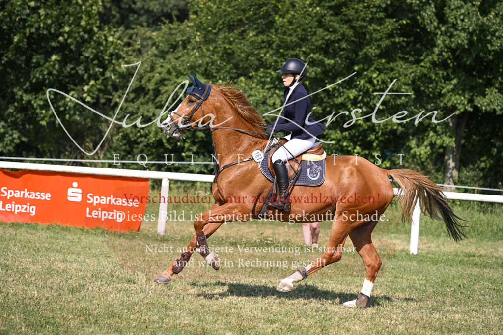 DSC_1213 | Pferde- und Turnierfotografie in Westsachsen. Pferdeportraits, Auftragszeichnungen und intuitive Kunst.