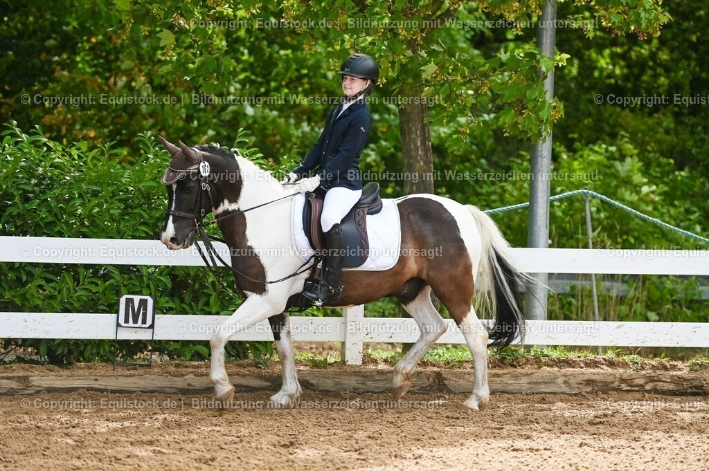 20230716_10-2_Reiter-WB Schritt - Trab - Galopp_0168 | equistock