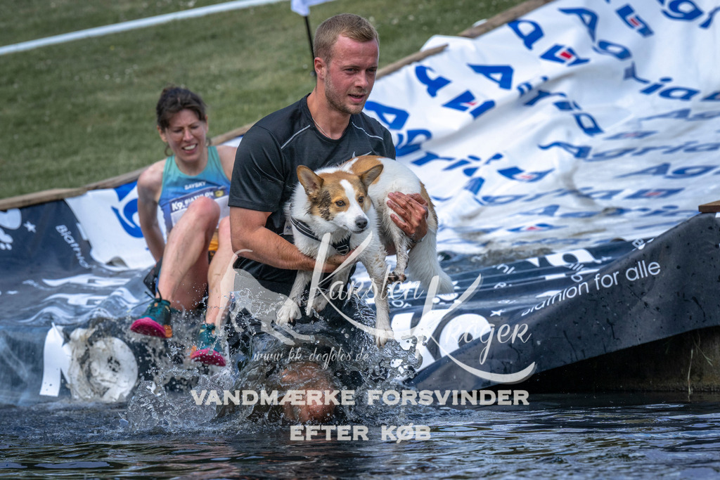 1101_ZZ90300 | kk-dogfotos