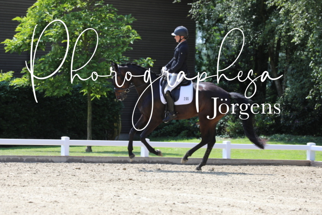 IMG_6618 | photographesa-joergens - Realisiert mit Pictrs.com