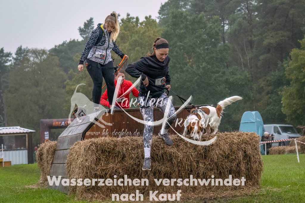 1244--9 | kk-dogfotos