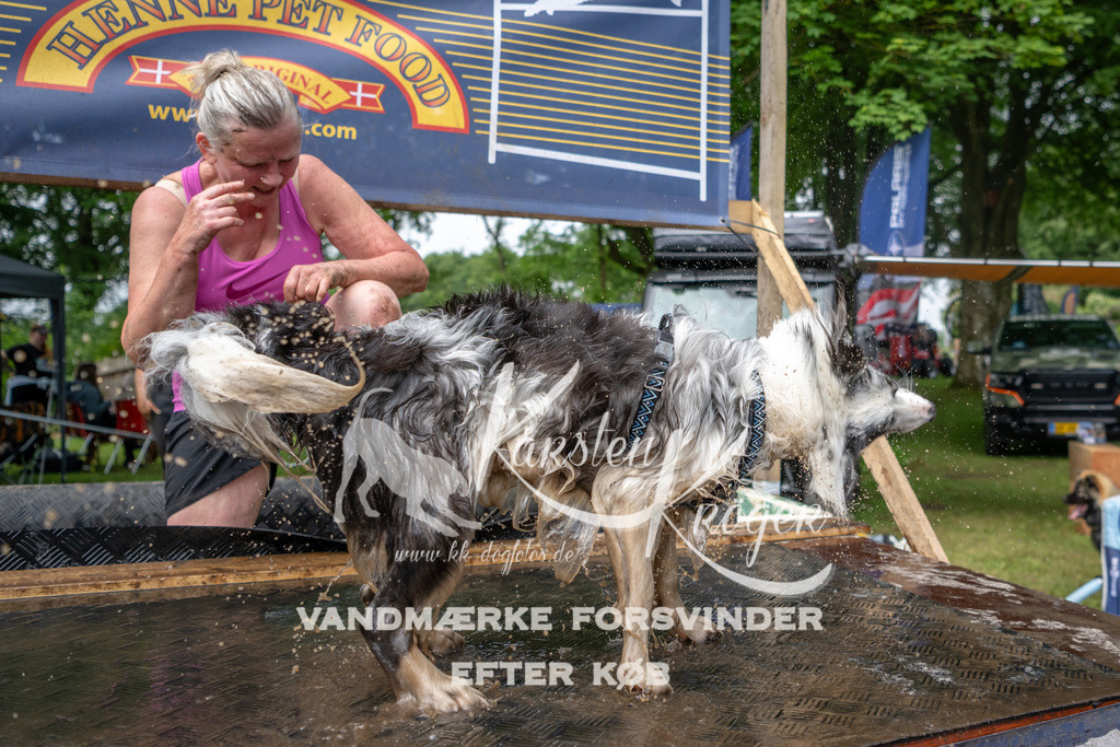 1006_ZZ94020 | kk-dogfotos