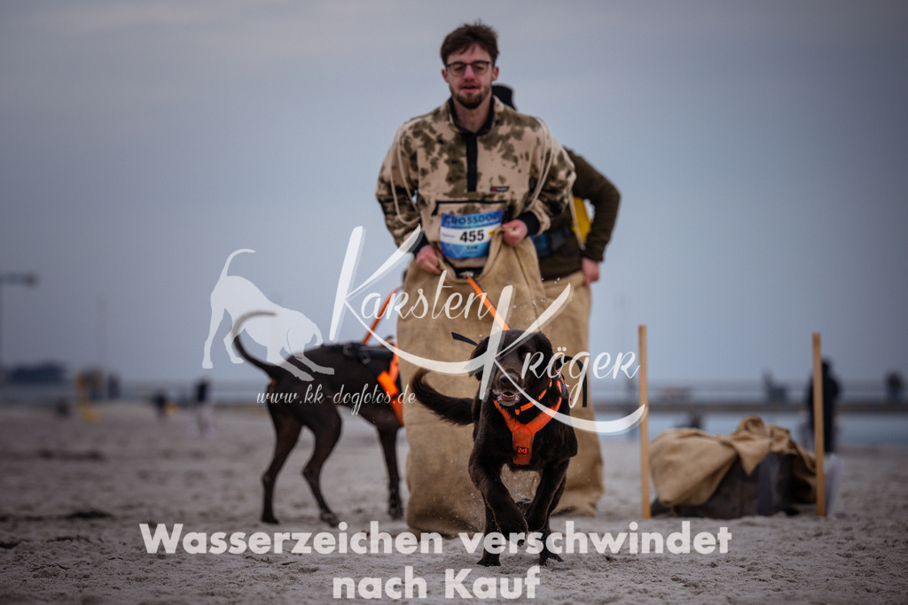 1234_ZZ94878 | kk-dogfotos