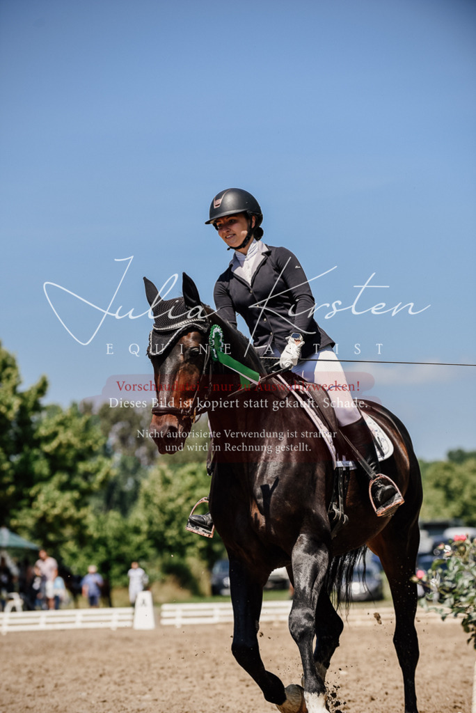 DSC_2090 | Pferde- und Turnierfotografie in Westsachsen. Pferdeportraits, Auftragszeichnungen und intuitive Kunst.
