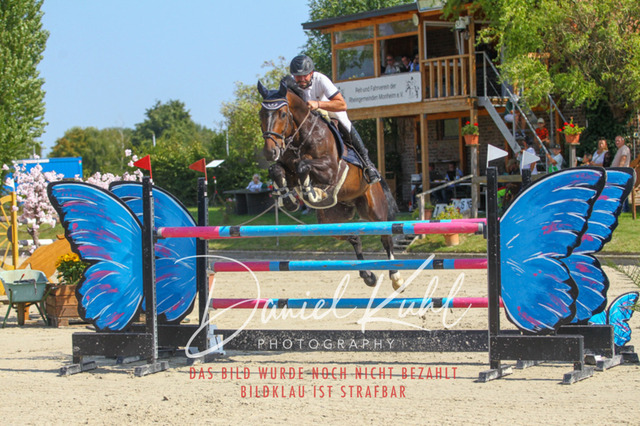 Gut Blee25_Zwei Phasen Springprfg S_0038 | Turniersportfotografie; Pferdefotografie; Dressurfotografie