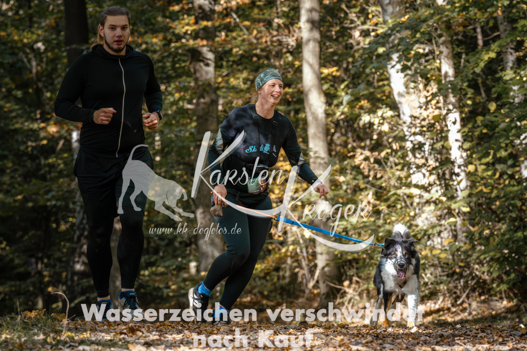 1234_ZZ95490 | kk-dogfotos