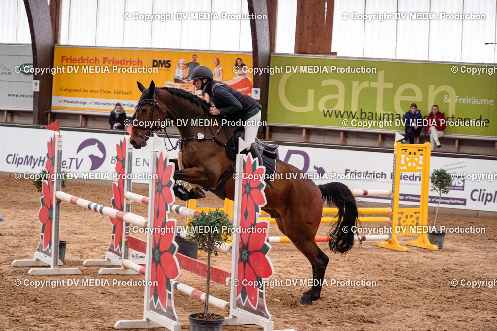 Kranichstein Tag 3-480 | dv-media-shop - Realisiert mit Pictrs.com