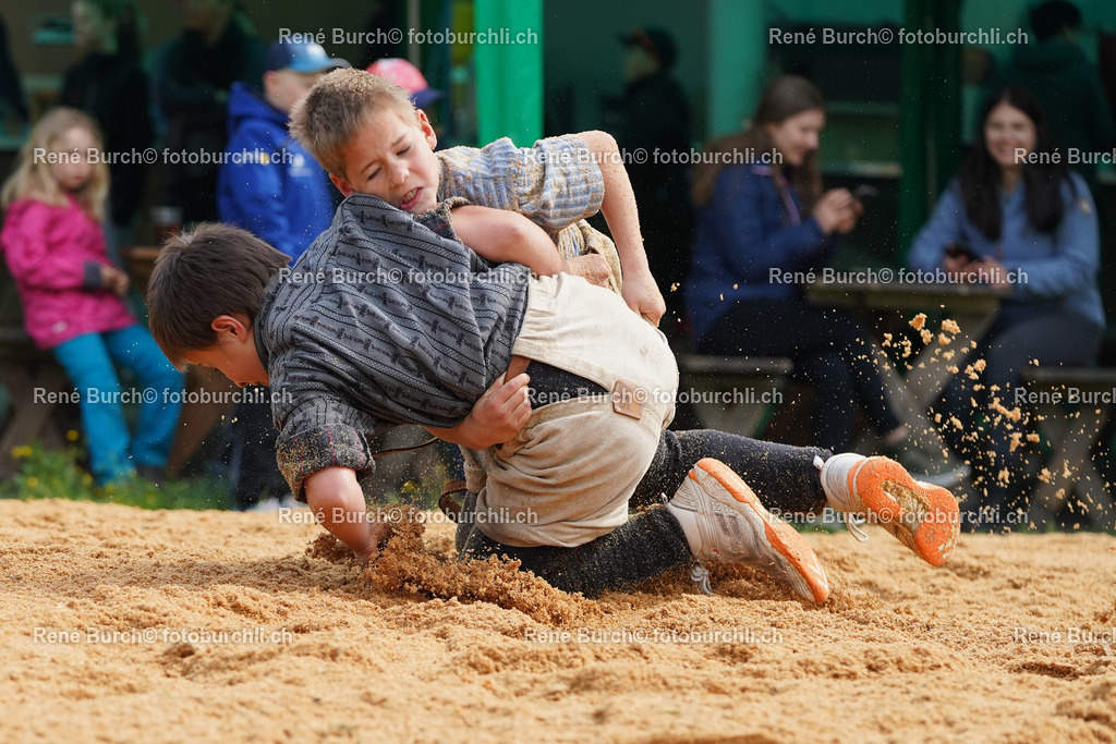 20220423-DSC07889 (2) | René Burch leidenschaftlicher Fotograf aus Kerns in Obwalden.  Hier finden sie Sport, Landschaft und Natur Fotografie.
 - Realisiert mit Pictrs.com