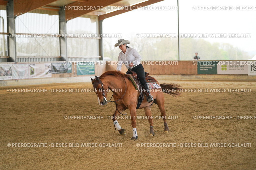 DSC08286 | Pferdegrafie