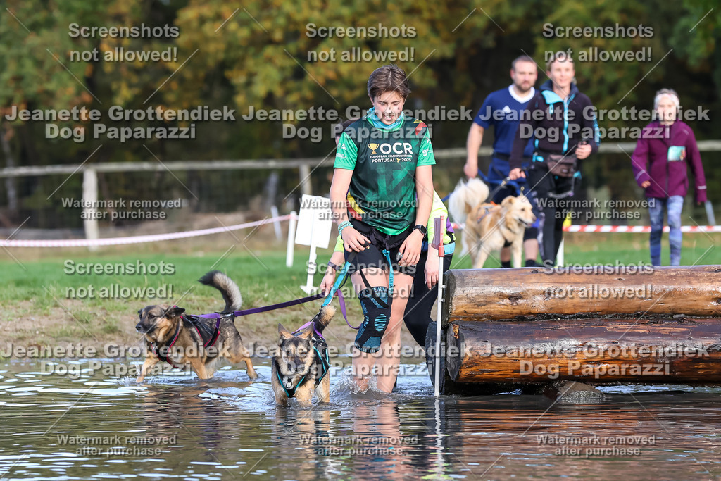 Dog Paparazzi - Strongdog 10-25-8277 | Dog Paparazzi Jeanette Grottendiek Fotografie & Videografie - Realisiert mit Pictrs.com